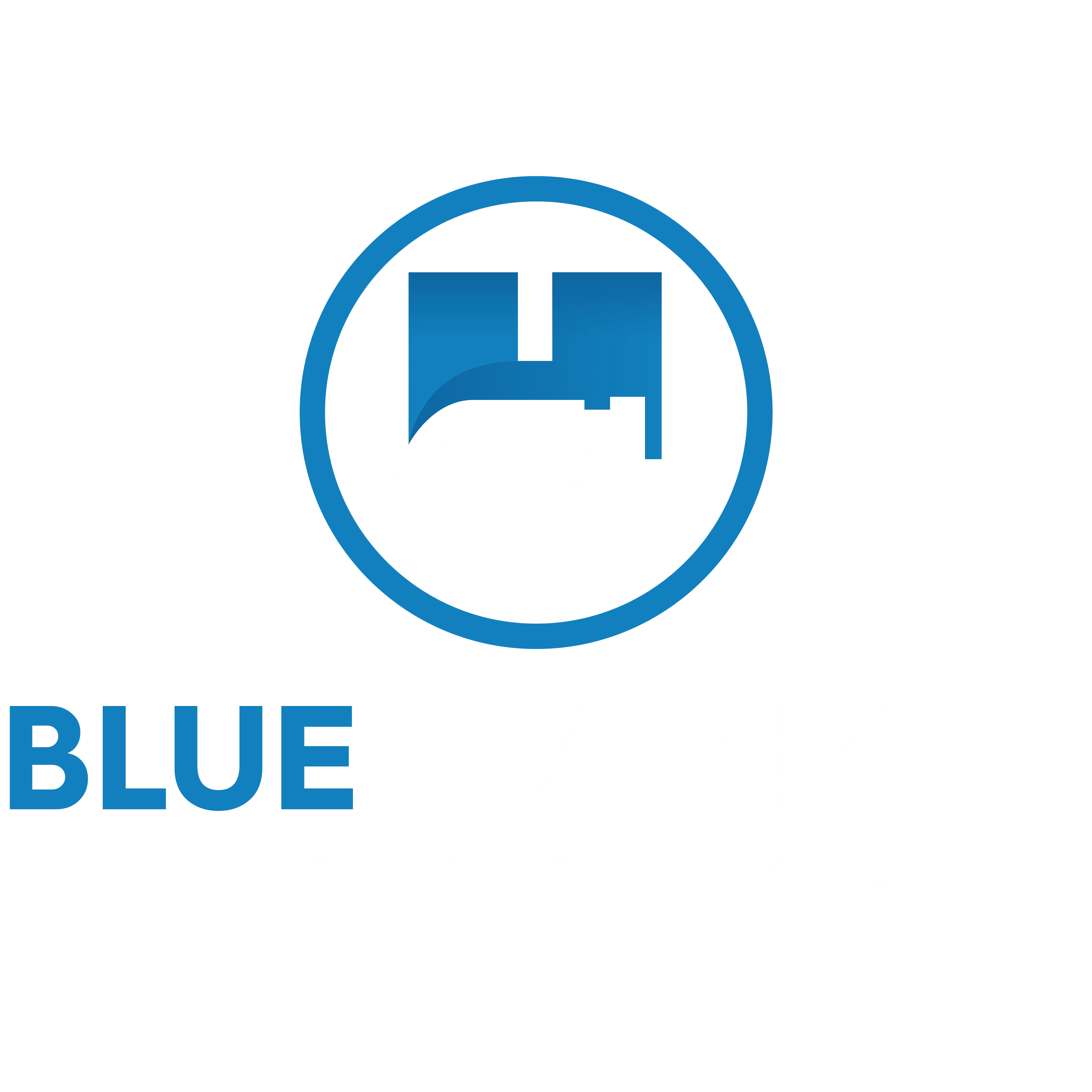 Blue Hammer Roofing
