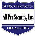 ALL PRO SECURITY INC