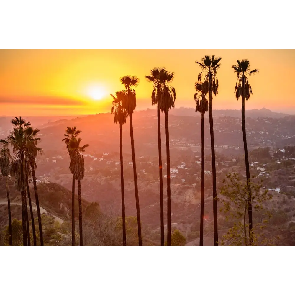 GOLDEN COAST LANDSCAPE